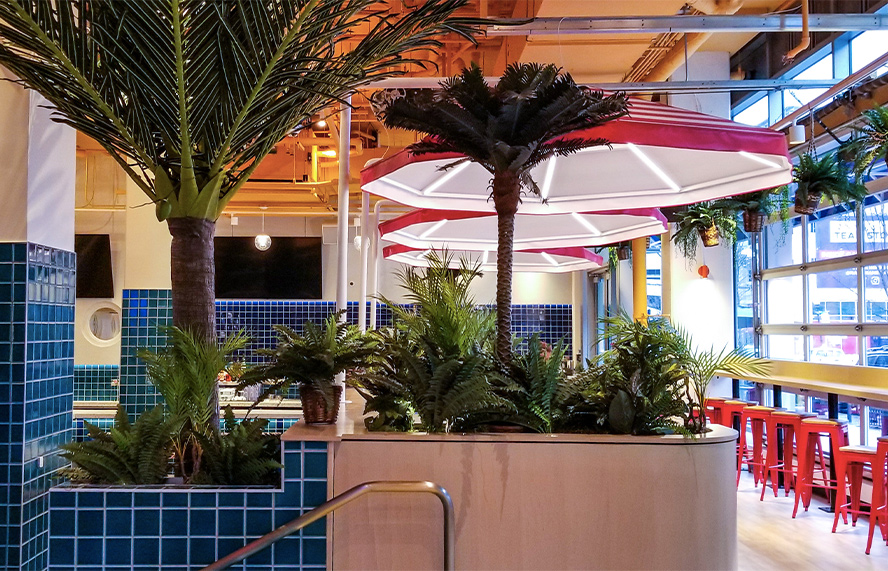 Featured Project Royal Sands Social Club